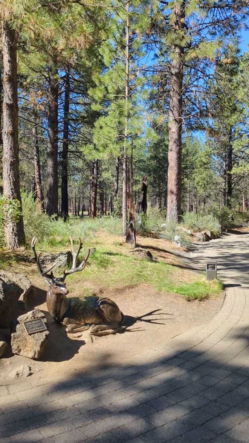 Expansive Forest Setting and Walking Trails