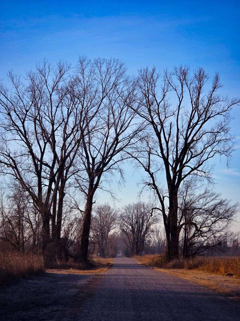Wetland Ecology Unfolds Before Your Eyes