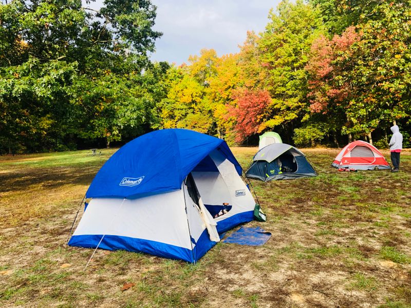 Educational Programs for Young Naturalists
