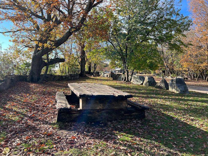 Picnicking With The Best Seat In New Jersey