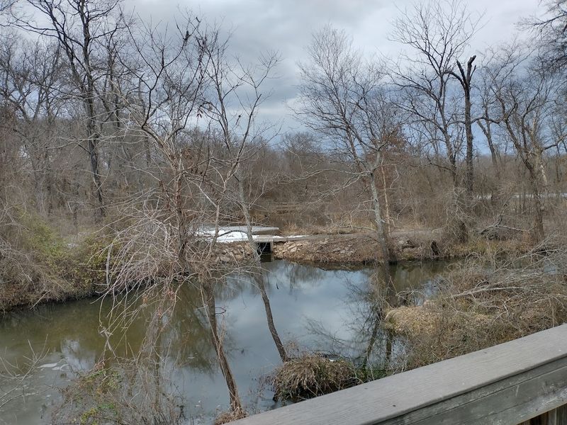 Seasons That Completely Rewrite the Landscape