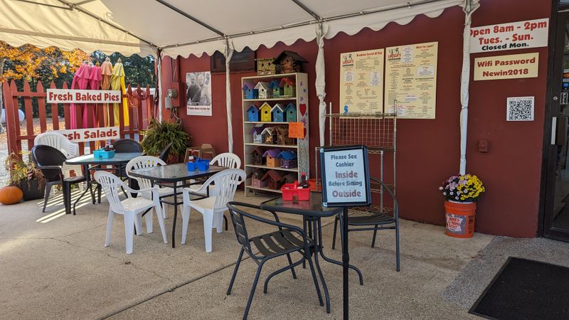 Homemade Pies That Steal the Show Every Single Day