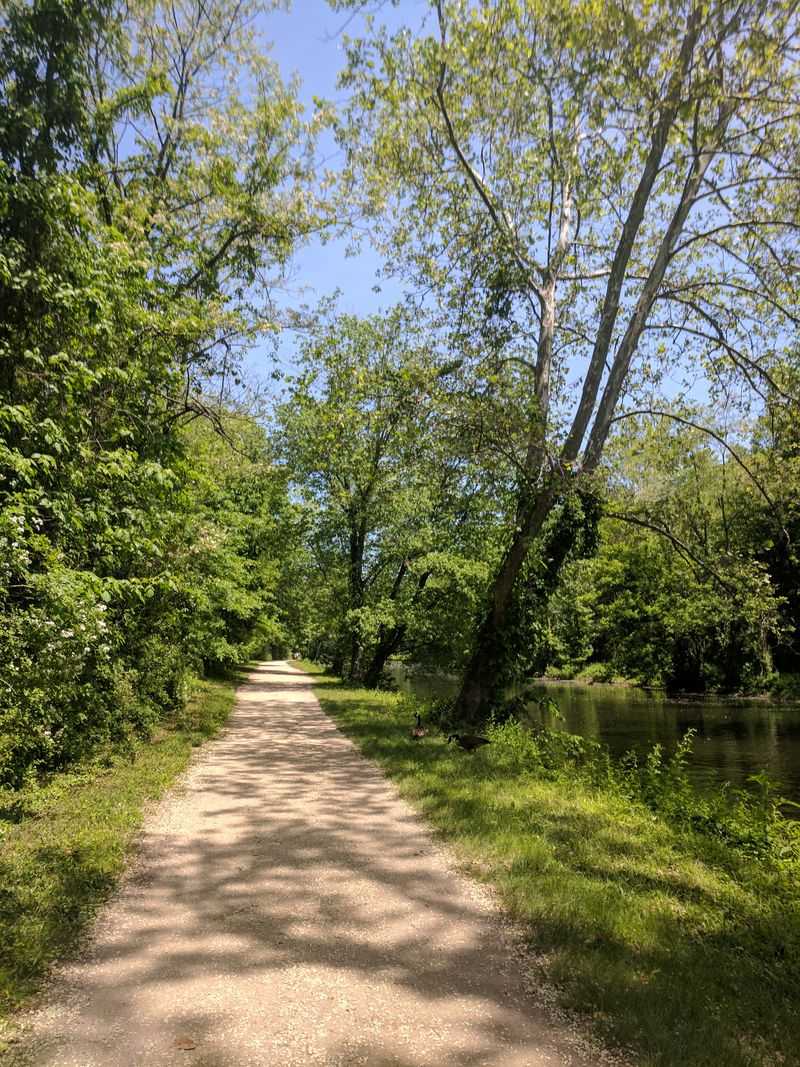 Six Mile Run Reservoir Area Ruins