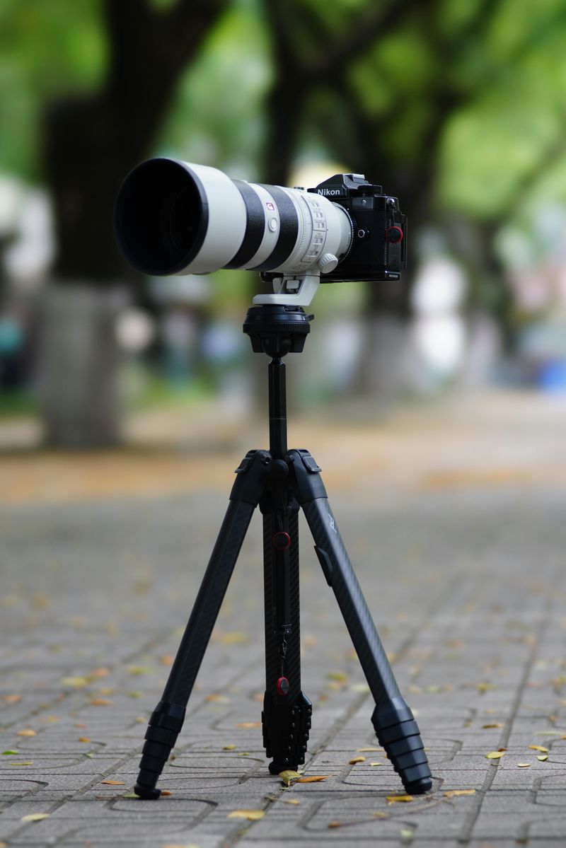 Commercial Intent Signals Officials Look For