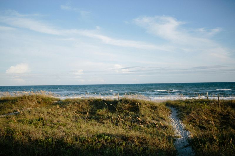 Beaches Offer Wild Variety