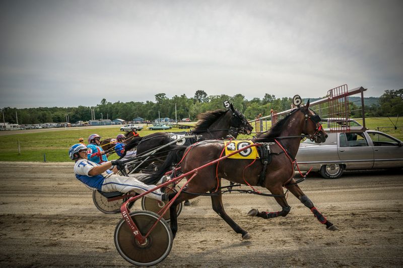 Barn Walks Full Of Animals, Ribbons, And Pride