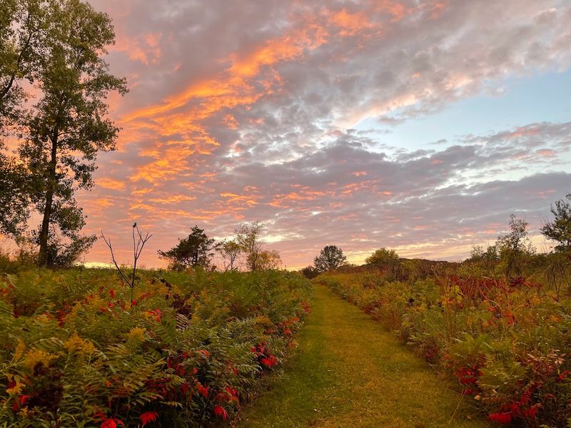 Spring Timing Tips For Fewer People And Better Light