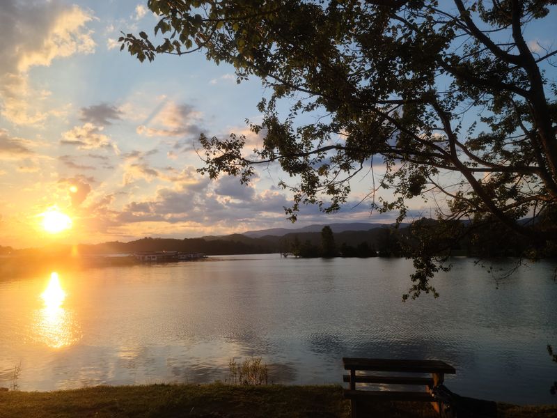 Camping Spots Where Stars Outshine City Lights