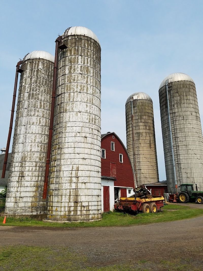Readington River Buffalo Farm, New Jersey