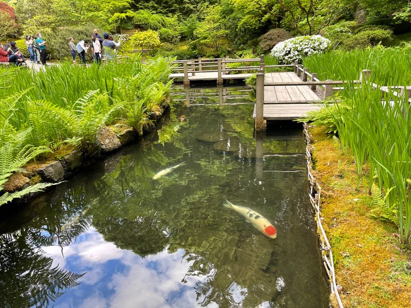 Strolling Pond Garden Inspired by 17th Century Aristocracy