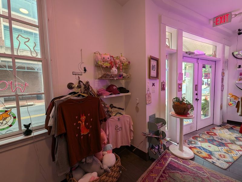Retail Therapy With A Feline Twist