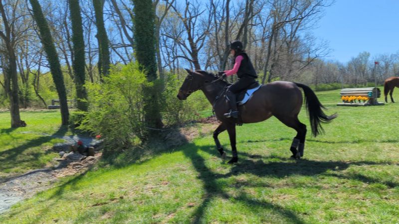 Equestrian Center Commands Respect Across Continents