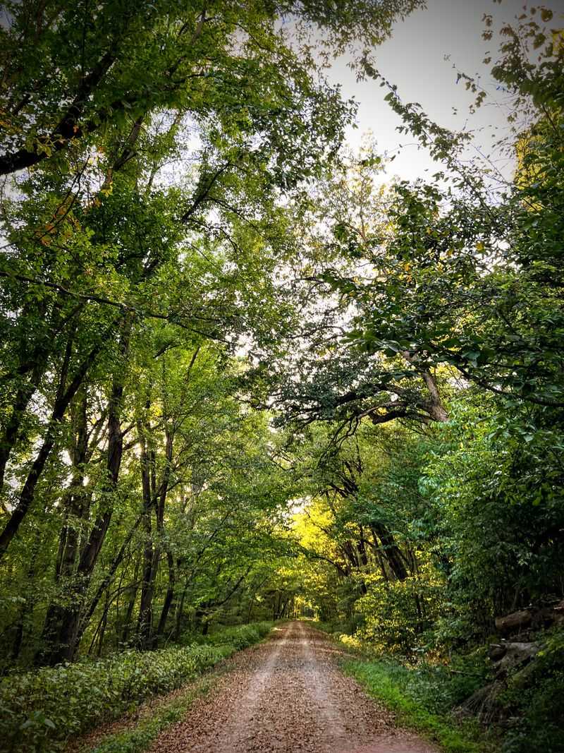 Katy Trail Energy For A Casual Bike Or Easy Stroll