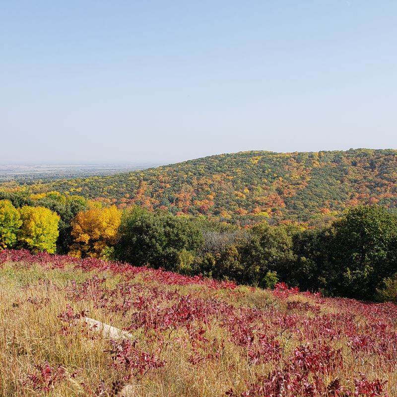 Prairie Grasses Above The Ravine When You Climb Out