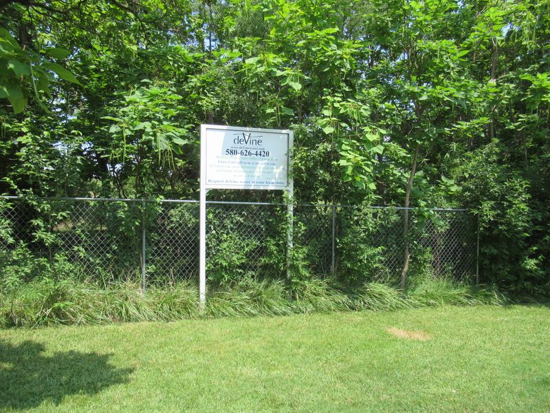 A Welcome Break from the Road