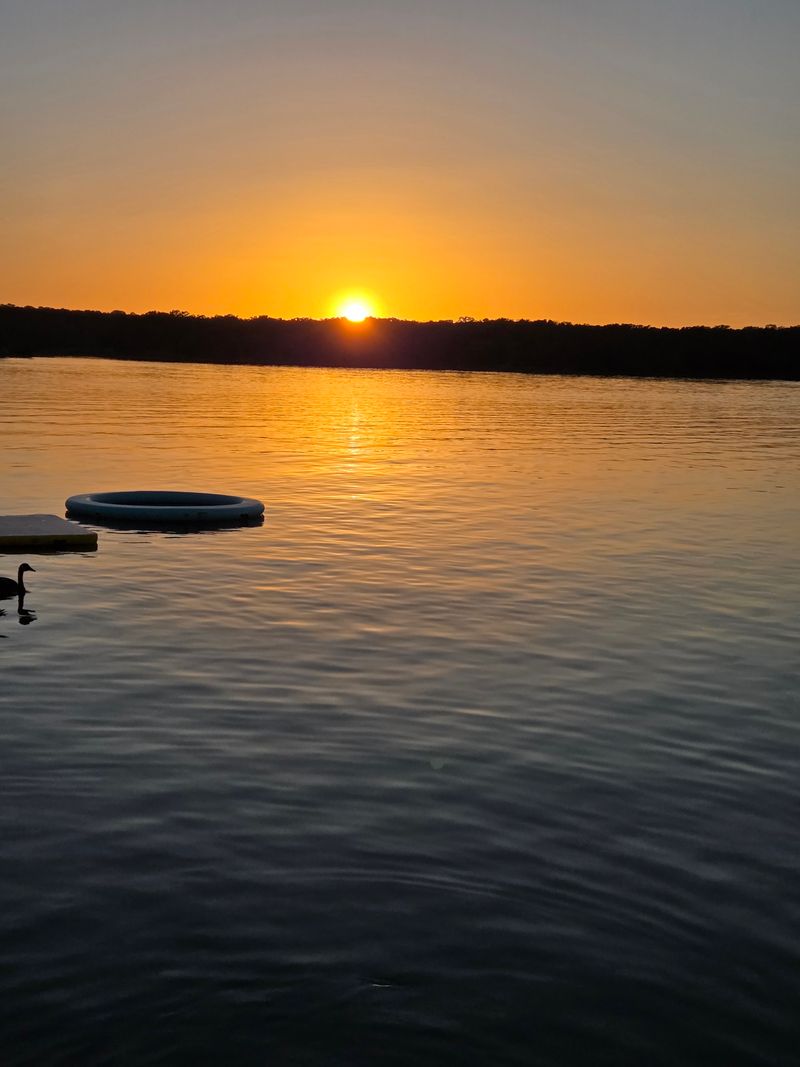 Wildlife Visitors and Sunset Views Create Magical Moments