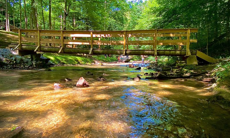 Steele Creek Park Natural Retreat