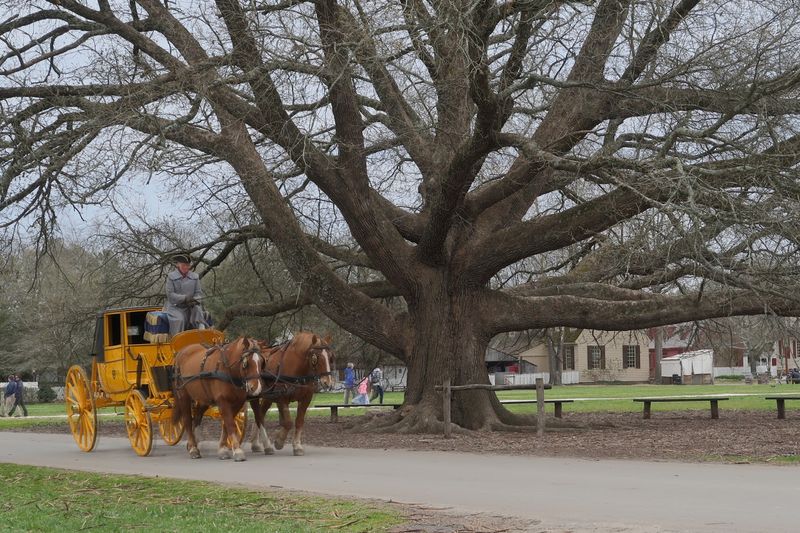 Rare Breeds Program: Animals from Another Era