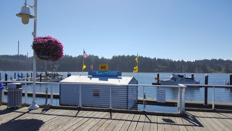 Floating Shack with Million-Dollar Views