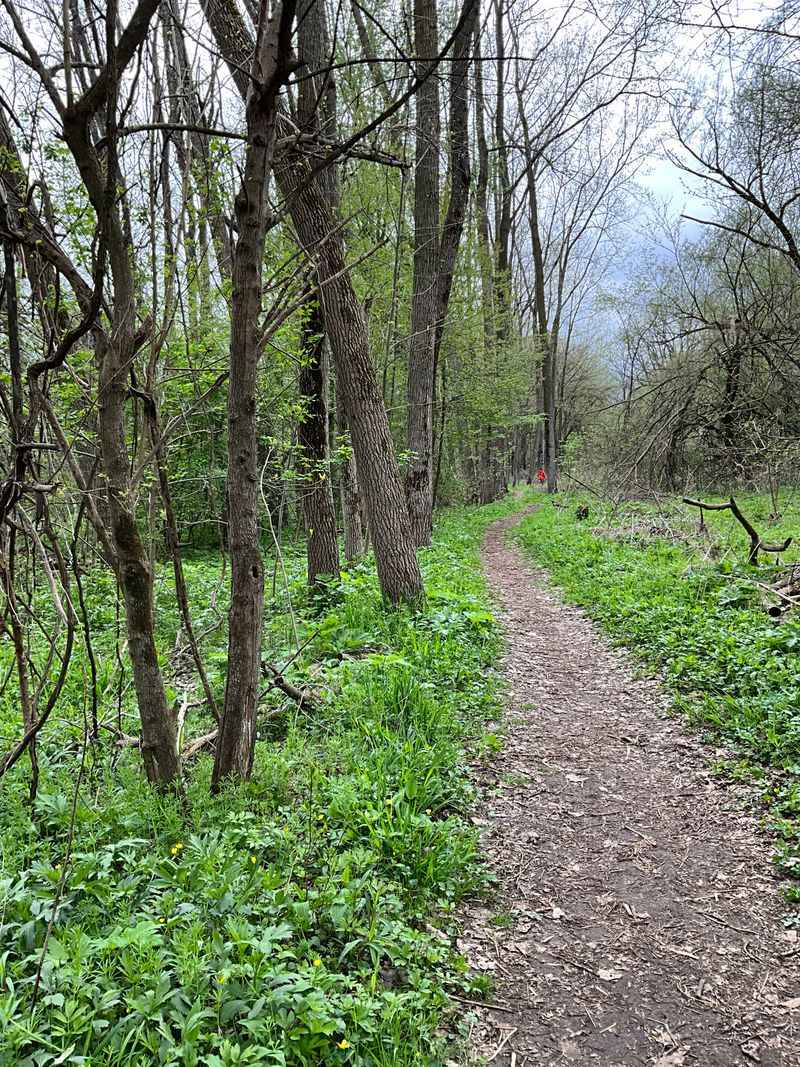 Accessible Trail Despite Rustic Character