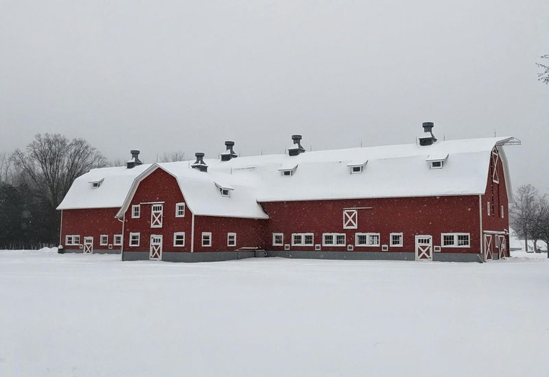 Snowy Farm Lanes, Barns, And Fences In Soft Light