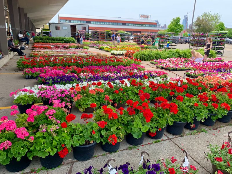 Finish With Flowers And A “Home Looks Better” Win