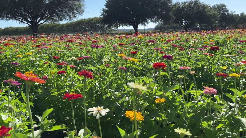Walking Trails That Move at Their Own Pace
