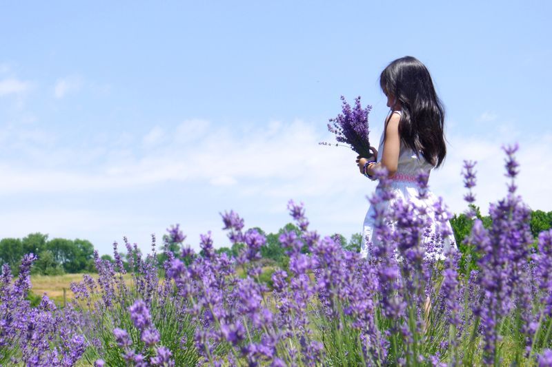 Picture Perfect Moments Everywhere