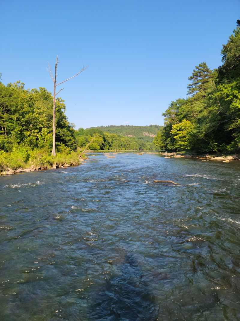Trout Fishing Draws Anglers Year-Round