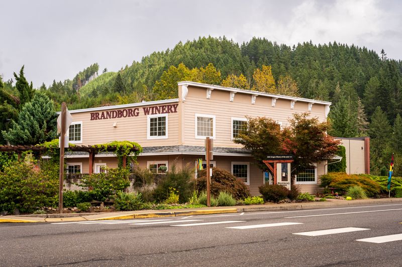 What Regulars Appreciate Most About Elkton