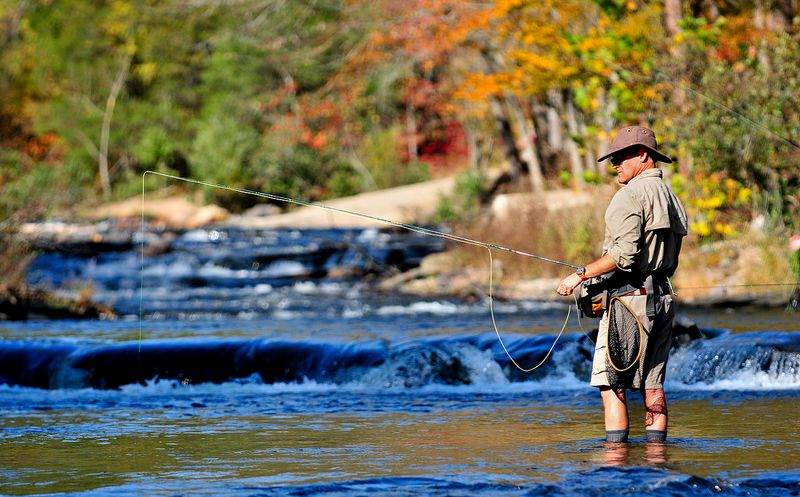 Best Times to Visit and What to Expect Each Season