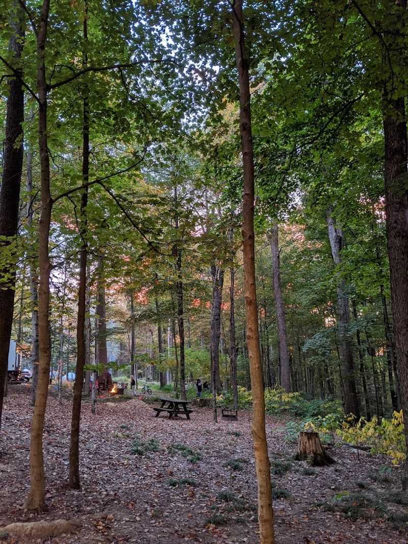 Halloween Weekend Events That Draw Families From Across the Region