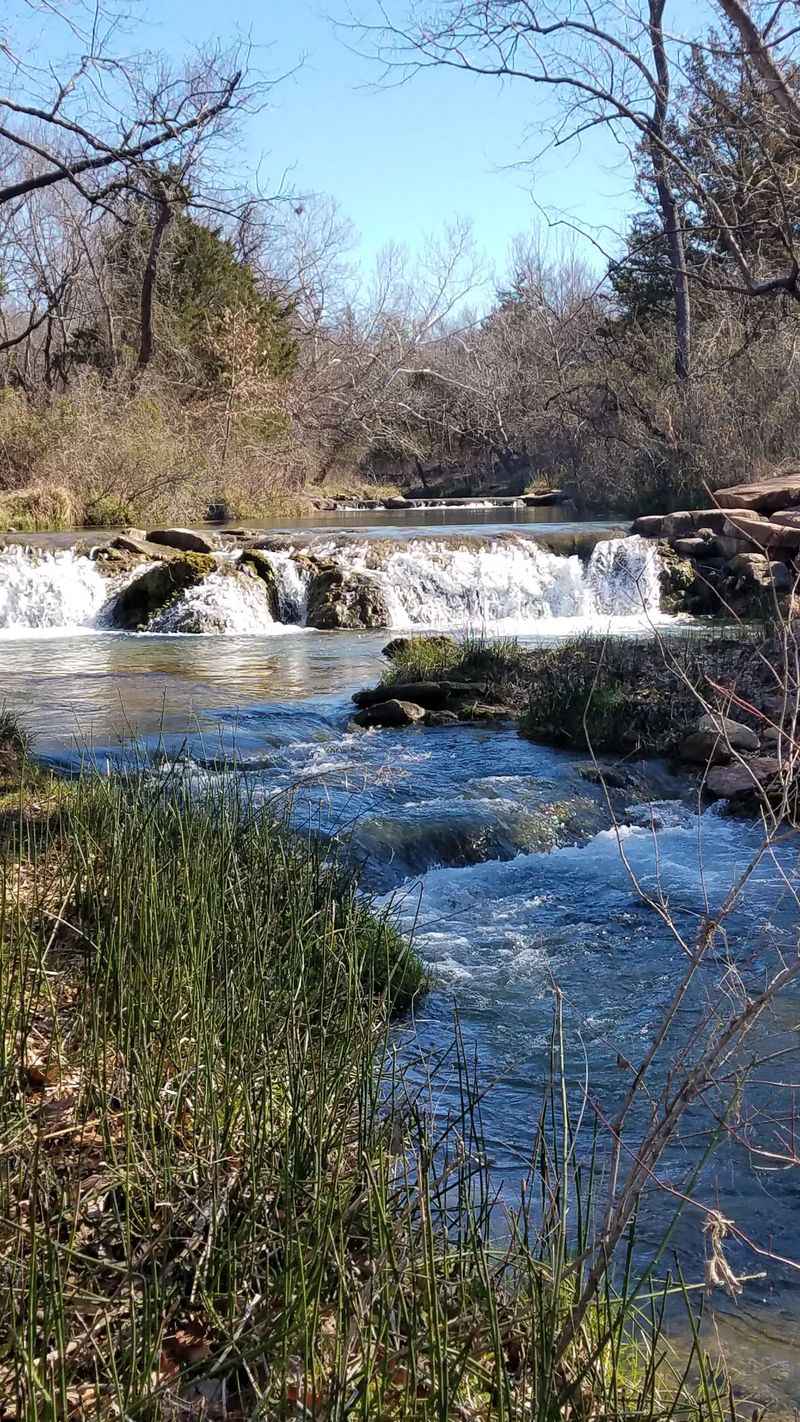 Wildlife Encounters That Surprise