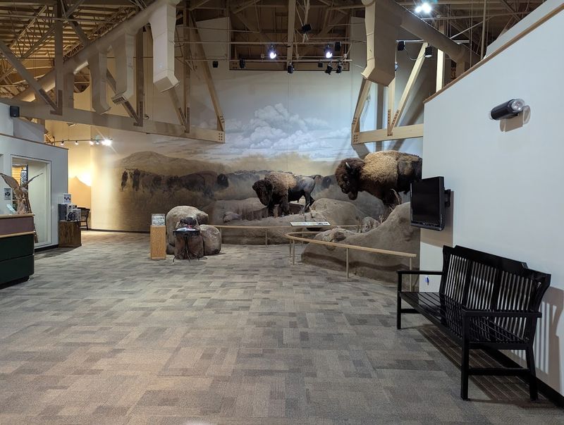 Practical Tips Before You Head Out the Door