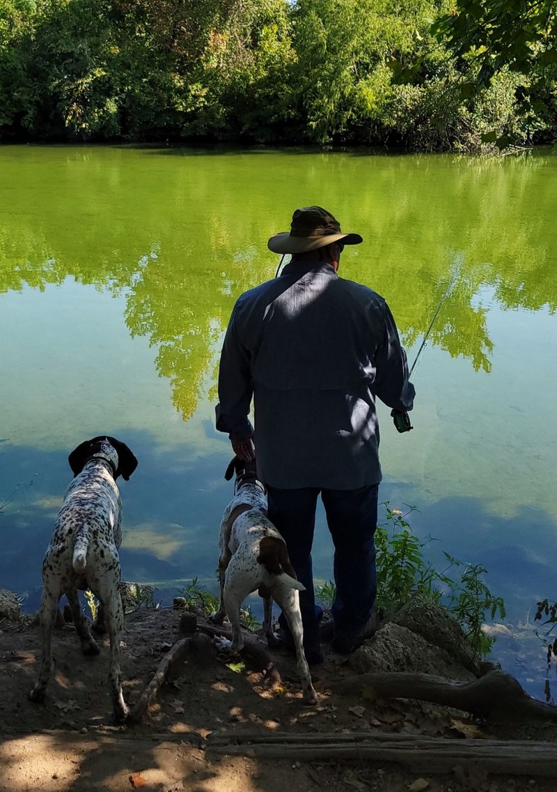 Fishing Along Peaceful River Banks