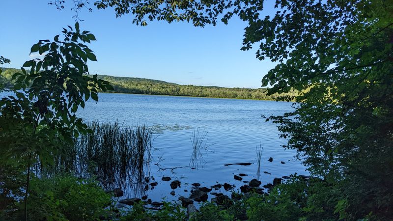 Natural Beauty and Wildlife Viewing
