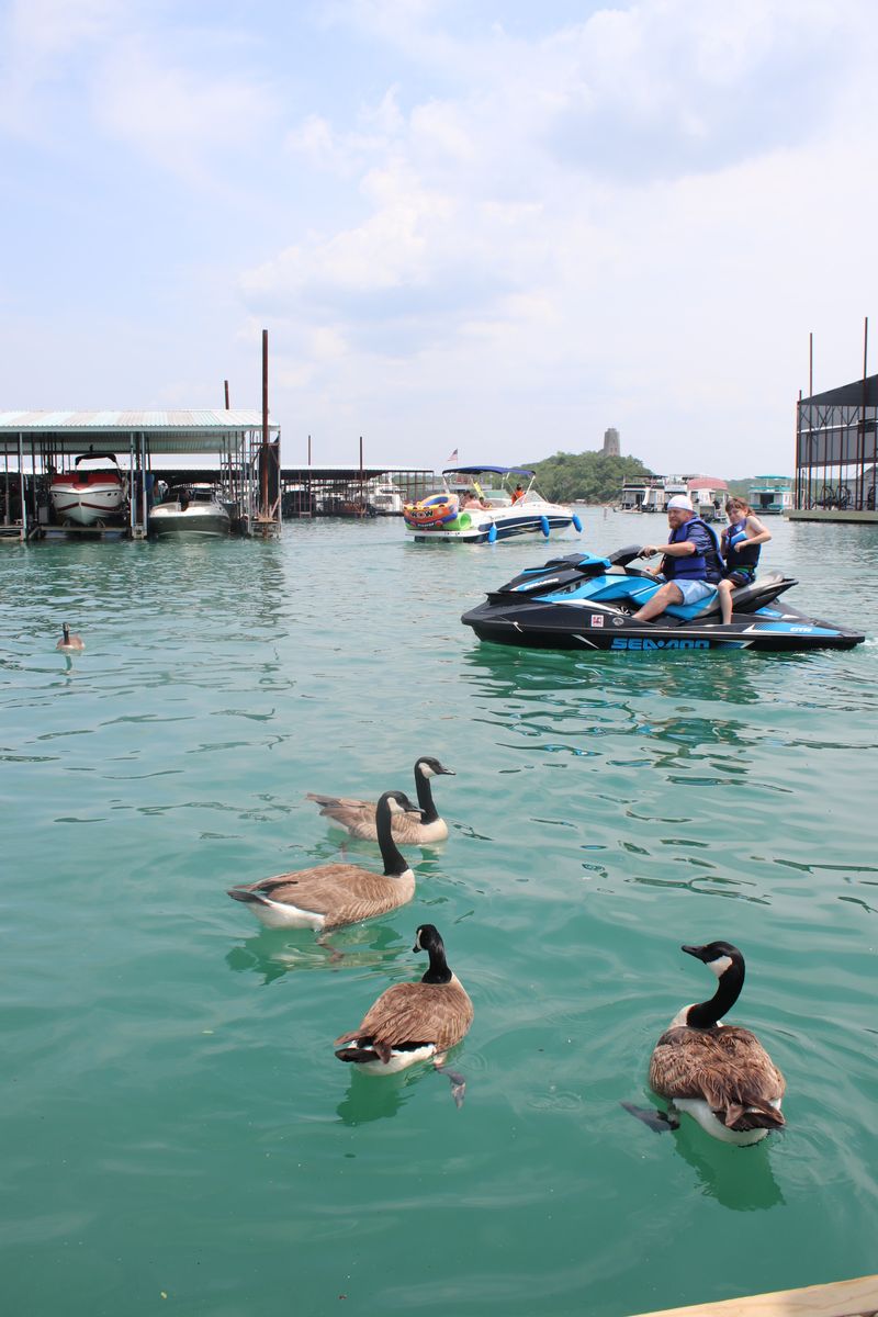 The Lake Activities Arms Race