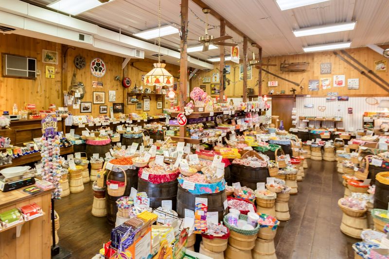 Nostalgic Favorites That Take You Right Back