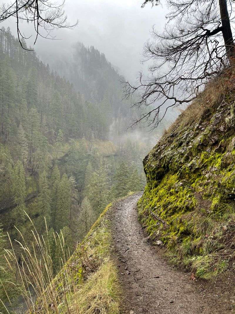 Lost Solitude That Made This Trail Special