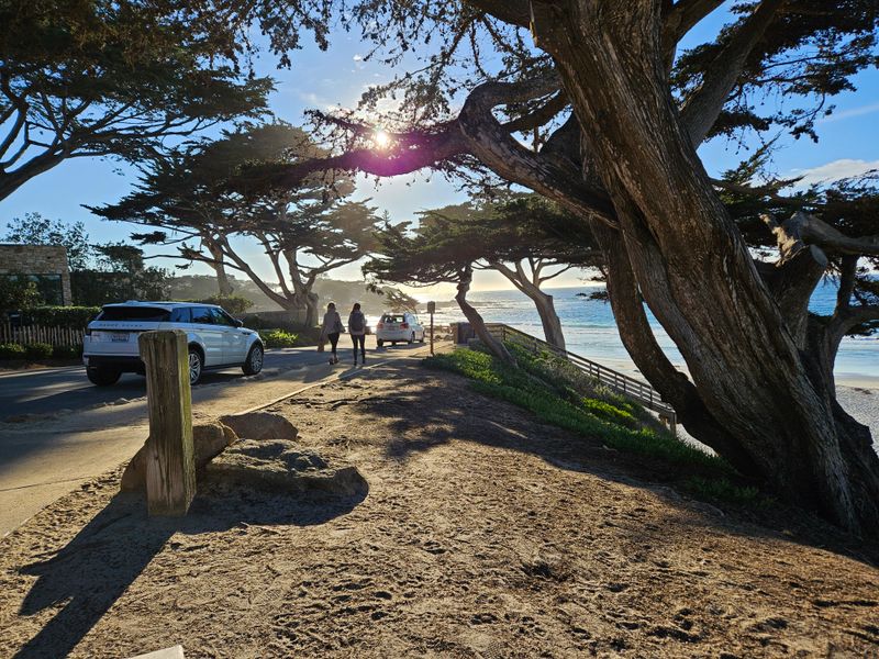 Scenic Road Walks With Cypress Trees And Ocean Air