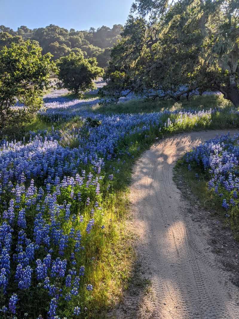 Fort Ord National Monument