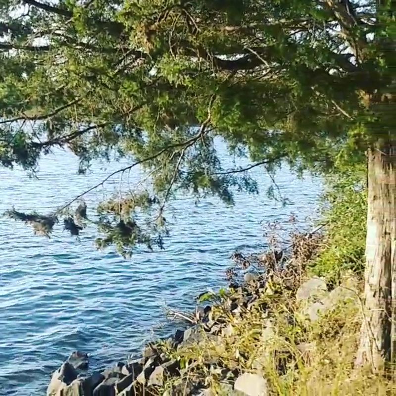 Hidden Gem Diners Locals Guard Jealously