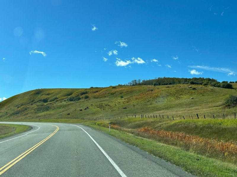 Scenic Backroads That Reward Slowing Down