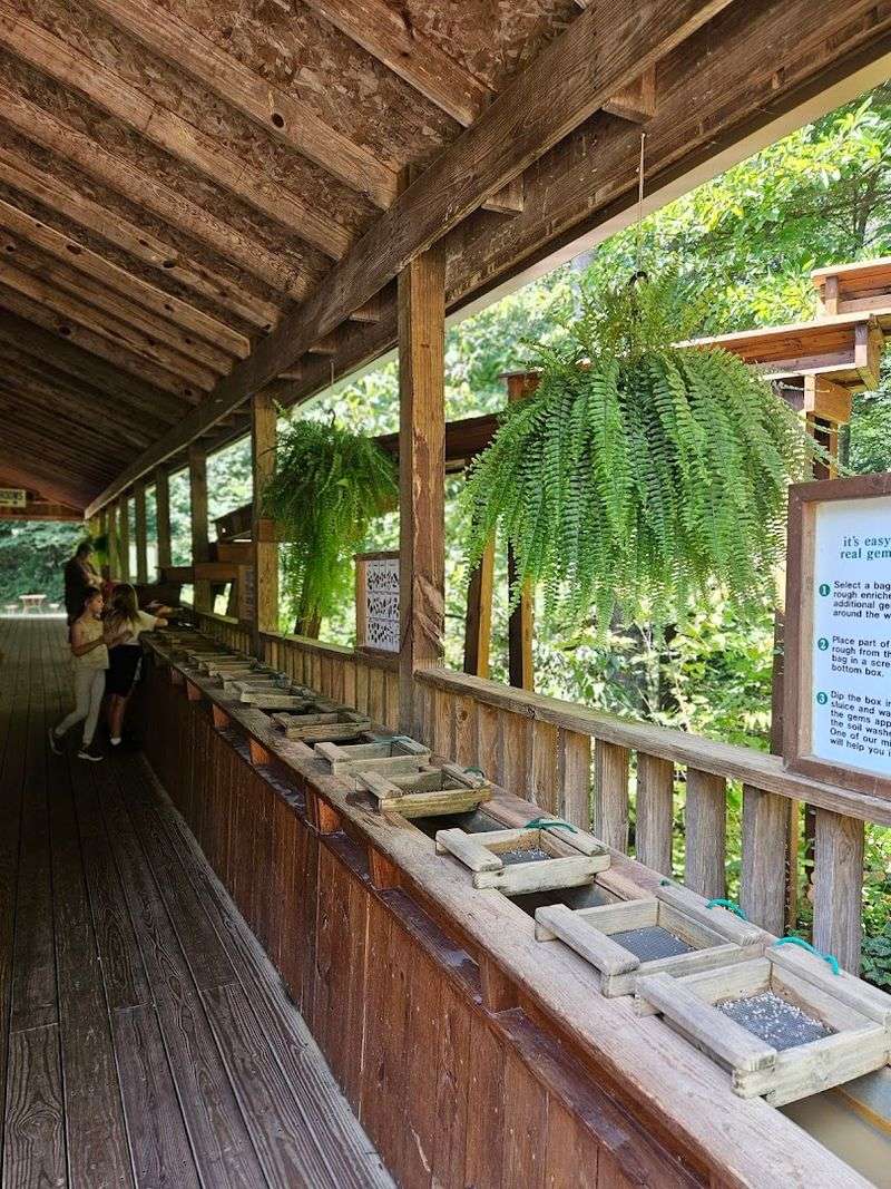 Gem Mining and Sinkhole Trail for the Full Day Experience