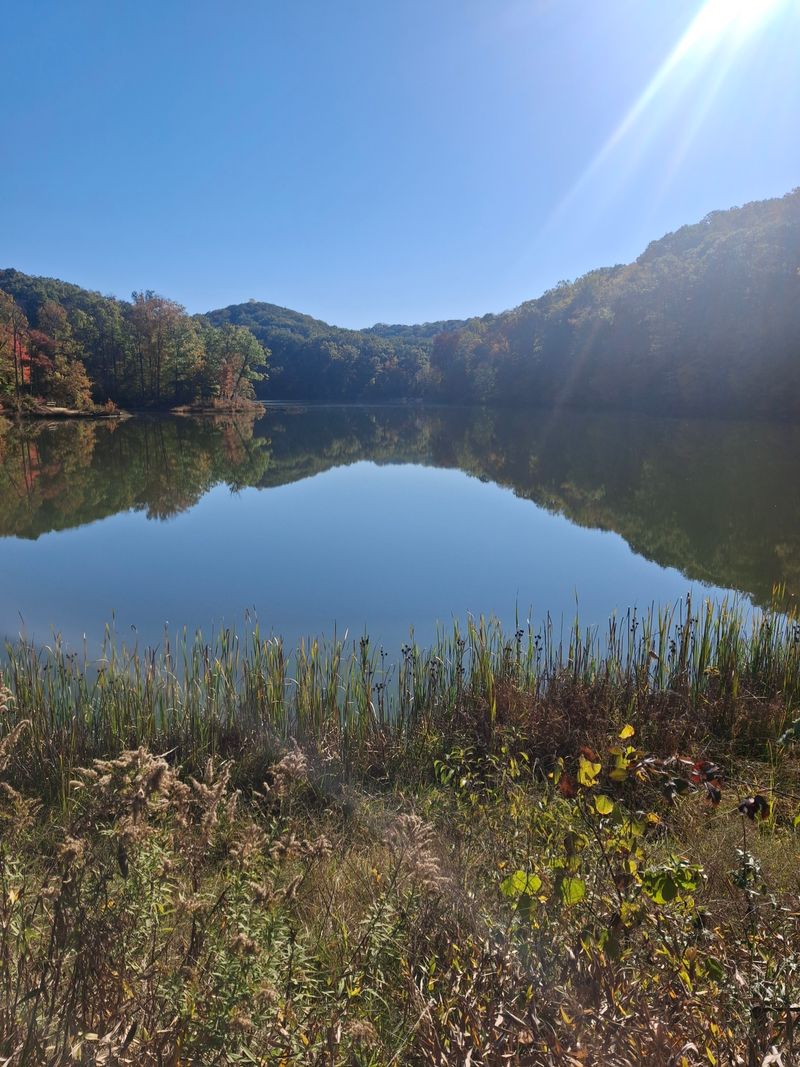 Wildlife Encounters Around Every Bend