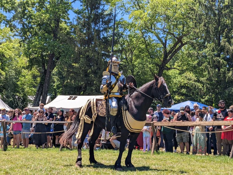 Family-Friendly Atmosphere and Accessibility Initiatives