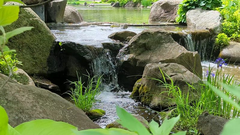 Anderson Japanese Gardens