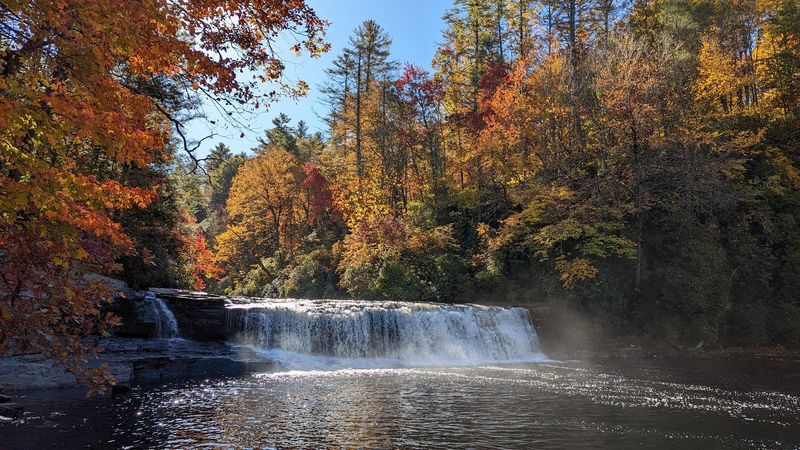 DuPont State Recreational Forest 