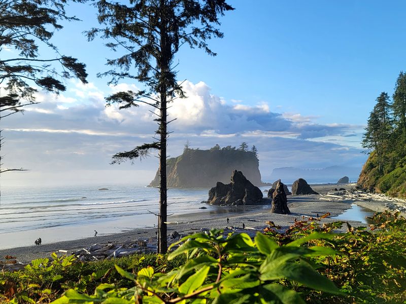 Olympic Peninsula Loop