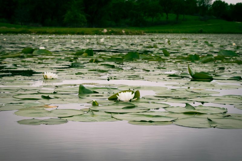 Outdoor Recreation Is Quiet And Underrated